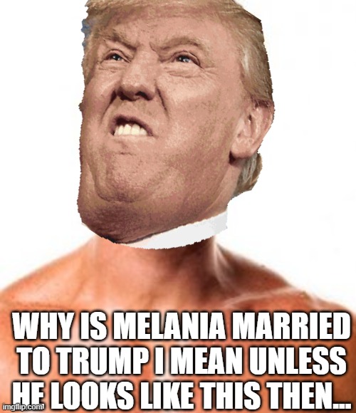 WHY IS MELANIA MARRIED TO TRUMP I MEAN UNLESS HE LOOKS LIKE THIS THEN... | image tagged in donald trump | made w/ Imgflip meme maker