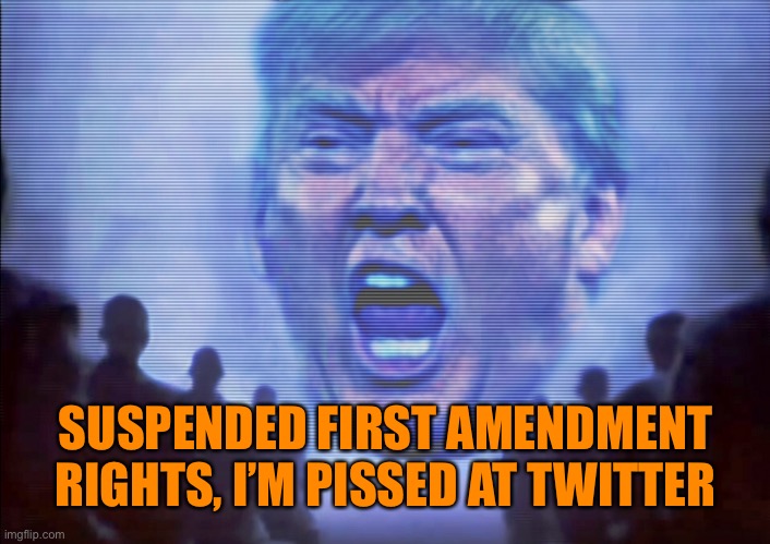 SUSPENDED FIRST AMENDMENT RIGHTS, I’M PISSED AT TWITTER | made w/ Imgflip meme maker