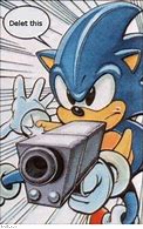 sonic delet this | image tagged in sonic delet this | made w/ Imgflip meme maker