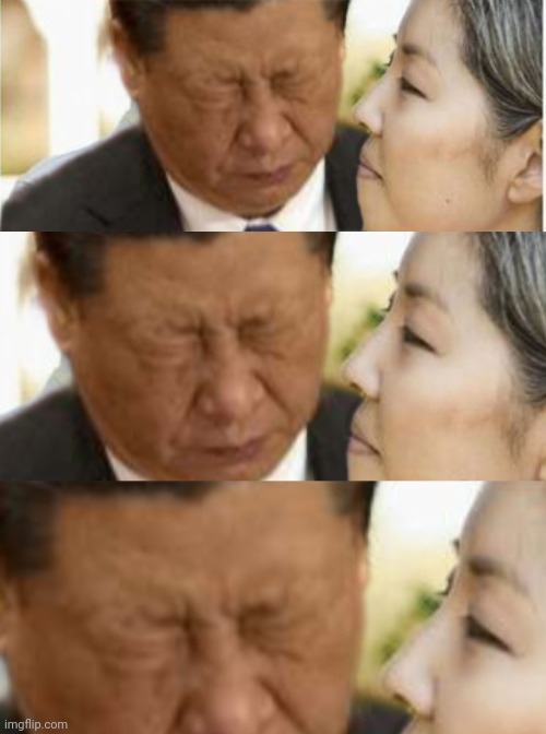 Sad Xi Blank Meme Template