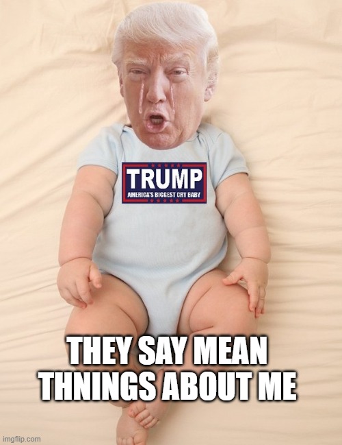 Crying Trump Baby | THEY SAY MEAN THNINGS ABOUT ME | image tagged in crying trump baby | made w/ Imgflip meme maker