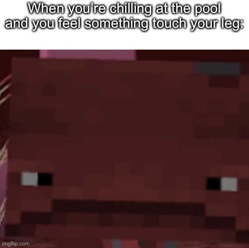 Nope | When you’re chilling at the pool and you feel something touch your leg: | image tagged in strider face,minecraft,funny memes,funny,memes,lol | made w/ Imgflip meme maker