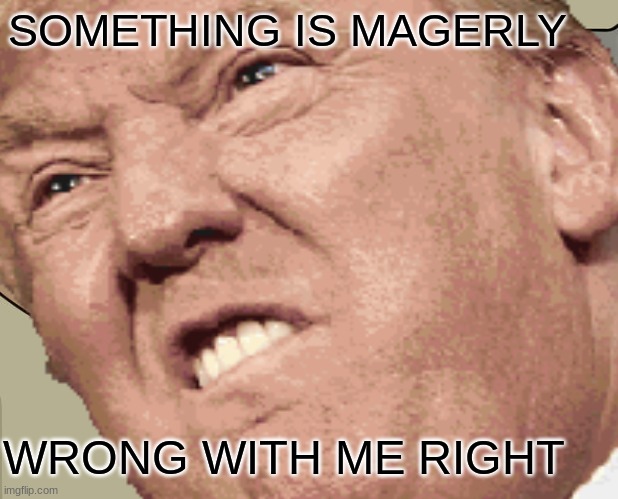 TRUMP IS GONNA GIT IT | SOMETHING IS MAGERLY; WRONG WITH ME RIGHT | image tagged in donald trump,face | made w/ Imgflip meme maker