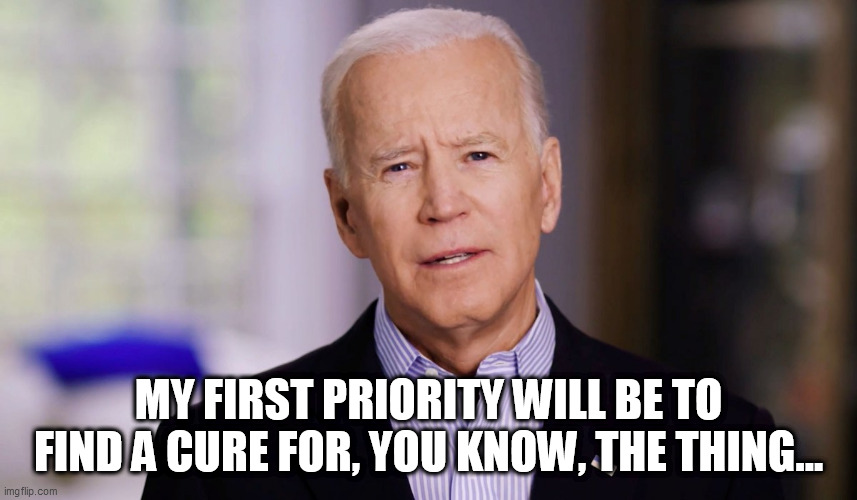 Joe Biden 2020 | MY FIRST PRIORITY WILL BE TO FIND A CURE FOR, YOU KNOW, THE THING... | image tagged in joe biden 2020 | made w/ Imgflip meme maker