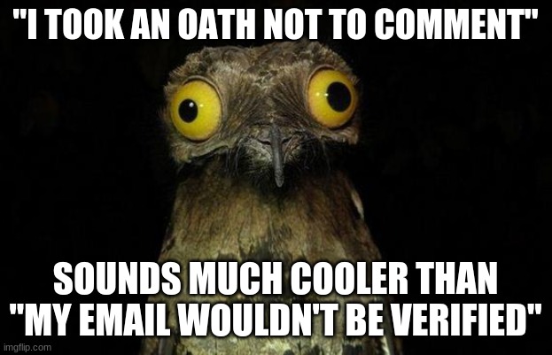 And that's what I say. | "I TOOK AN OATH NOT TO COMMENT"; SOUNDS MUCH COOLER THAN "MY EMAIL WOULDN'T BE VERIFIED" | image tagged in memes,weird stuff i do potoo | made w/ Imgflip meme maker