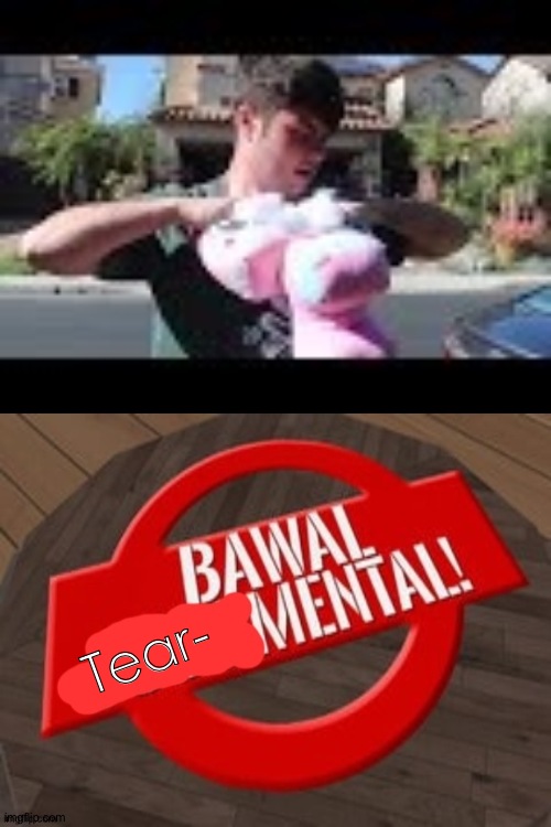 Bawal Mental! | Tear- | image tagged in bawal mental,plainrock124 only 2000 for ever made | made w/ Imgflip meme maker