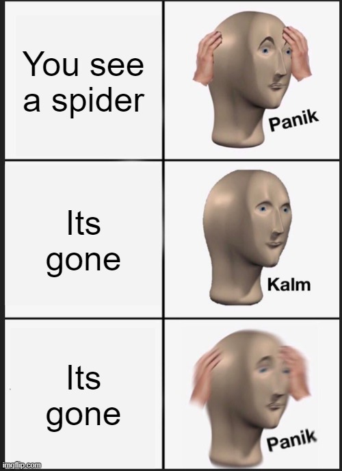 Panik Kalm Panik | You see a spider; Its gone; Its gone | image tagged in memes,panik kalm panik | made w/ Imgflip meme maker