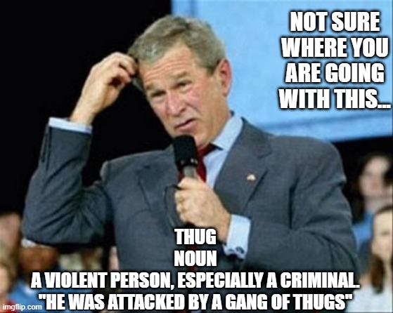 whut? | THUG

NOUN

A VIOLENT PERSON, ESPECIALLY A CRIMINAL.
"HE WAS ATTACKED BY A GANG OF THUGS" NOT SURE WHERE YOU ARE GOING WITH THIS... | image tagged in whut | made w/ Imgflip meme maker