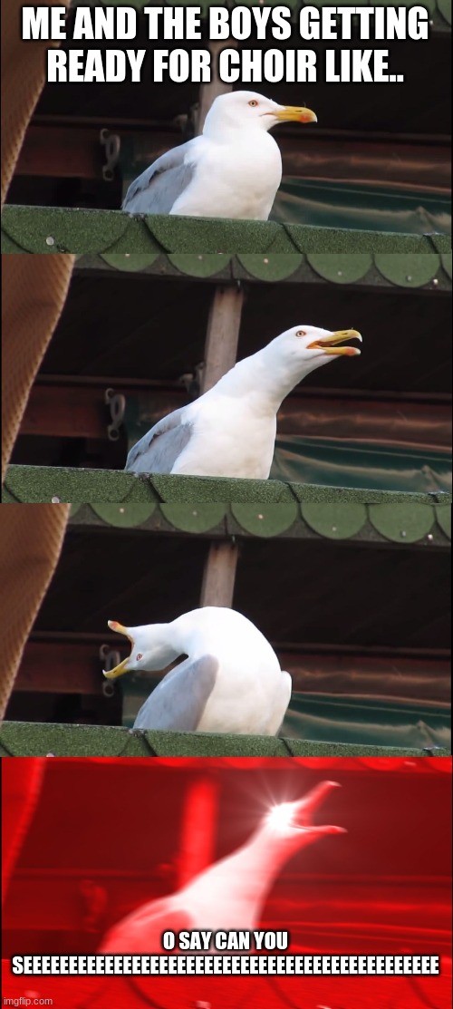 Inhaling Seagull | ME AND THE BOYS GETTING READY FOR CHOIR LIKE.. O SAY CAN YOU SEEEEEEEEEEEEEEEEEEEEEEEEEEEEEEEEEEEEEEEEEEEEEE | image tagged in memes,inhaling seagull | made w/ Imgflip meme maker