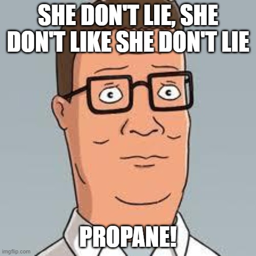 Hank Hill | SHE DON'T LIE, SHE DON'T LIKE SHE DON'T LIE; PROPANE! | image tagged in hank hill | made w/ Imgflip meme maker