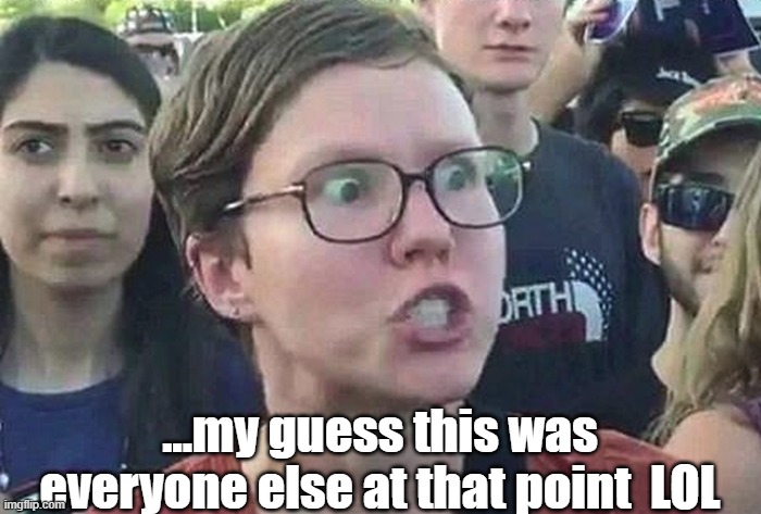 Triggered Liberal | ...my guess this was everyone else at that point  LOL | image tagged in triggered liberal | made w/ Imgflip meme maker