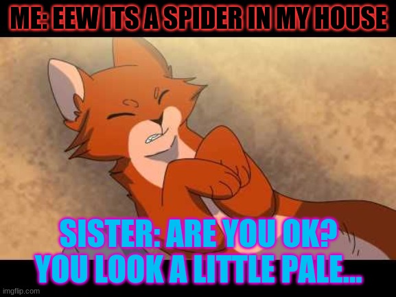 WARRIOR CATS | ME: EEW ITS A SPIDER IN MY HOUSE; SISTER: ARE YOU OK? YOU LOOK A LITTLE PALE... | image tagged in warrior cats | made w/ Imgflip meme maker