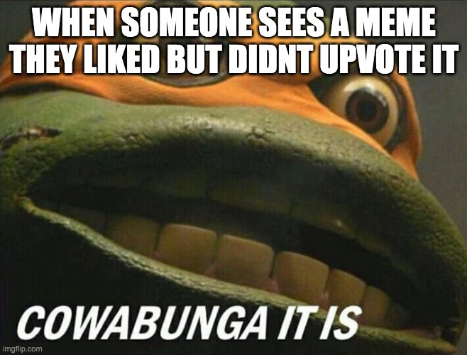 Cowabunga it is | WHEN SOMEONE SEES A MEME THEY LIKED BUT DIDNT UPVOTE IT | image tagged in cowabunga it is | made w/ Imgflip meme maker