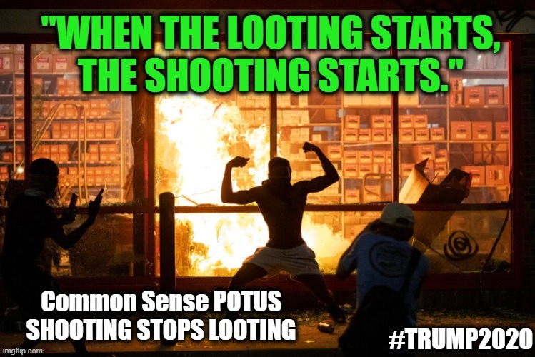 Protests YES Riots NO ~~ SHOOTING STOPS LOOTING | image tagged in politics,political meme,donald trump,riots,stupid liberals,violence | made w/ Imgflip meme maker