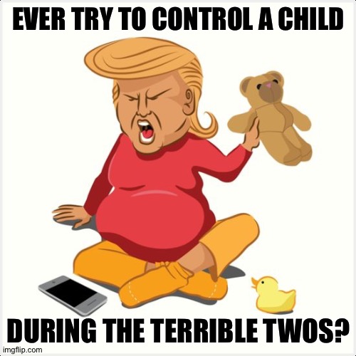 Cry baby trump | EVER TRY TO CONTROL A CHILD DURING THE TERRIBLE TWOS? | image tagged in cry baby trump | made w/ Imgflip meme maker