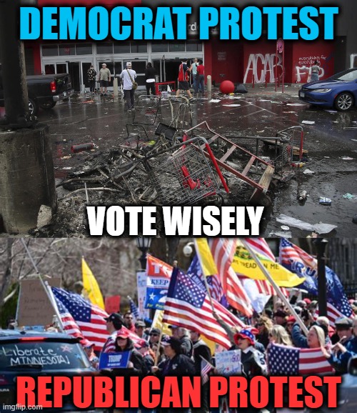 It's Time to Take Our Country Back! | DEMOCRAT PROTEST; VOTE WISELY; REPUBLICAN PROTEST | image tagged in politics,political,democrats,republicans,donald trump,joe biden | made w/ Imgflip meme maker
