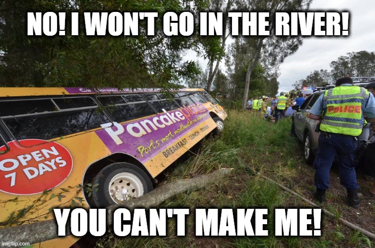 You can't make me | NO! I WON'T GO IN THE RIVER! YOU CAN'T MAKE ME! | image tagged in pancaked | made w/ Imgflip meme maker