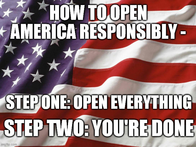 American Flag | HOW TO OPEN AMERICA RESPONSIBLY -; STEP ONE: OPEN EVERYTHING; STEP TWO: YOU'RE DONE | image tagged in american flag,re-open,shutdown,open,america,liberty | made w/ Imgflip meme maker