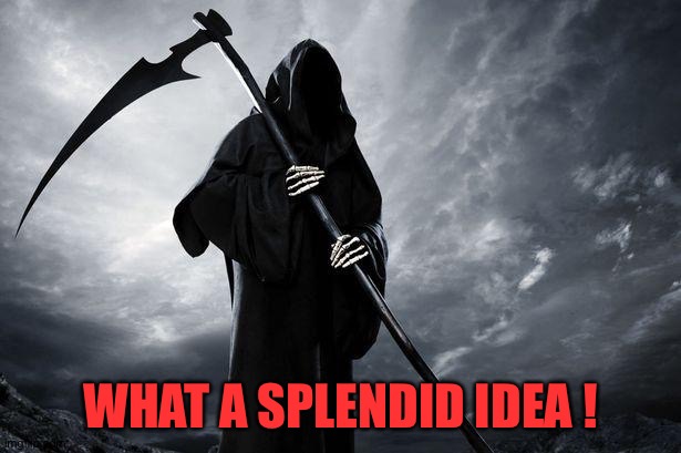 Grim Reaper , Memes, funny | WHAT A SPLENDID IDEA ! | image tagged in grim reaper  memes funny | made w/ Imgflip meme maker