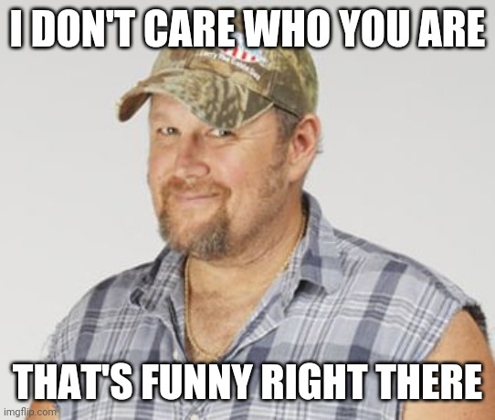 Larry The Cable Guy Meme | I DON'T CARE WHO YOU ARE THAT'S FUNNY RIGHT THERE | image tagged in memes,larry the cable guy | made w/ Imgflip meme maker