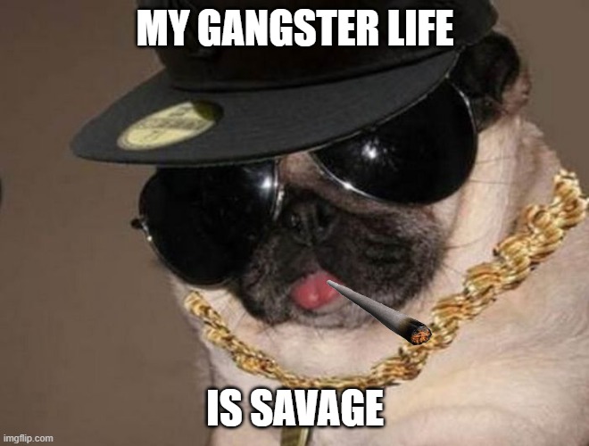 savage | MY GANGSTER LIFE; IS SAVAGE | image tagged in gangster pug | made w/ Imgflip meme maker