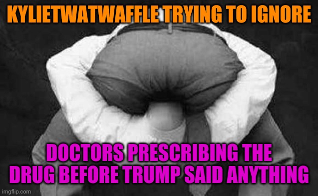 Head up ass  | KYLIETWATWAFFLE TRYING TO IGNORE DOCTORS PRESCRIBING THE DRUG BEFORE TRUMP SAID ANYTHING | image tagged in head up ass | made w/ Imgflip meme maker