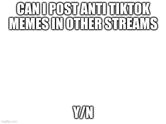 Blank White Template | CAN I POST ANTI TIKTOK MEMES IN OTHER STREAMS; Y/N | image tagged in blank white template | made w/ Imgflip meme maker