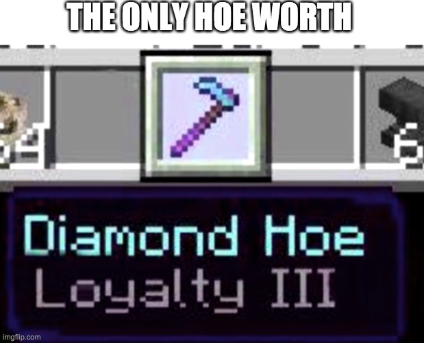 THE ONLY HOE WORTH | image tagged in gaming,memes,minecraft,hoes,funny,make me baby jesus moderator | made w/ Imgflip meme maker