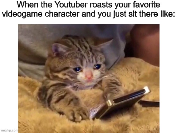 When the Youtuber roasts your favorite videogame character and you just sit there like: | image tagged in sad cat | made w/ Imgflip meme maker