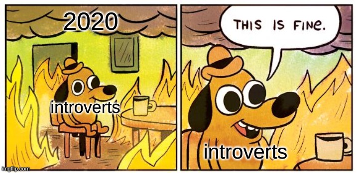 Another everyday meme | 2020; introverts; introverts | image tagged in memes,this is fine | made w/ Imgflip meme maker