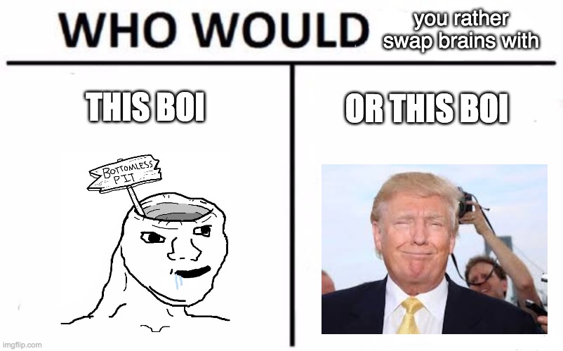 Who Would Win? Meme |  you rather swap brains with; THIS BOI; OR THIS BOI | image tagged in memes,who would win | made w/ Imgflip meme maker