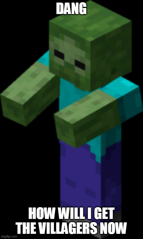 Minecraft Zombie | DANG HOW WILL I GET THE VILLAGERS NOW | image tagged in minecraft zombie | made w/ Imgflip meme maker