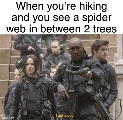 Boggs got a pod | When you’re hiking and you see a spider web in between 2 trees | image tagged in spiders,hiking,funny,memes,hunger games,relatable | made w/ Imgflip meme maker