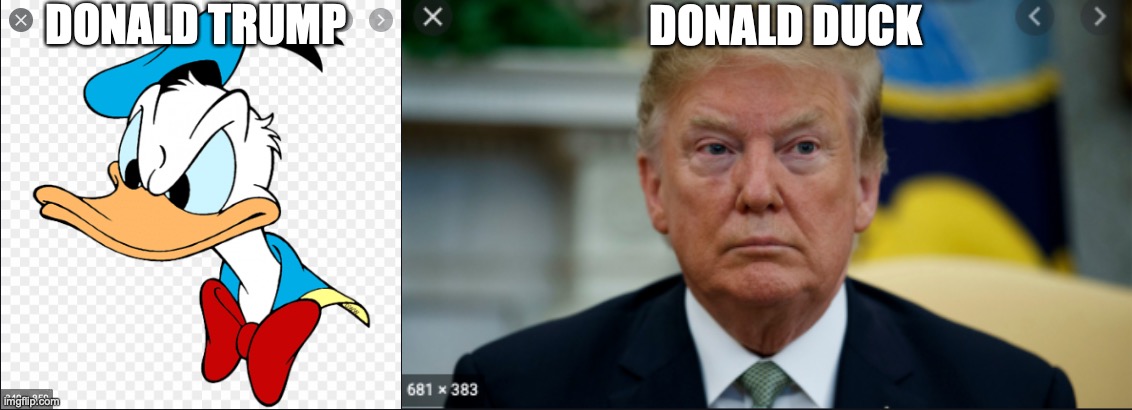 I always get mixed up | DONALD TRUMP; DONALD DUCK | image tagged in donald trump,donald duck | made w/ Imgflip meme maker