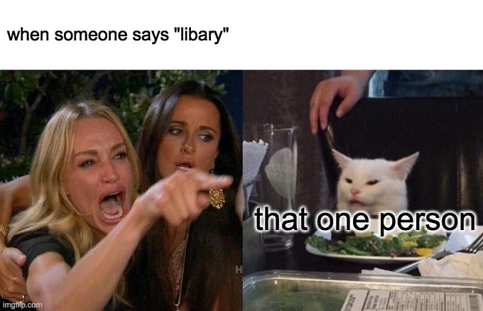 when people say things wrong too much | when someone says "libary"; that one person | image tagged in memes,woman yelling at cat | made w/ Imgflip meme maker