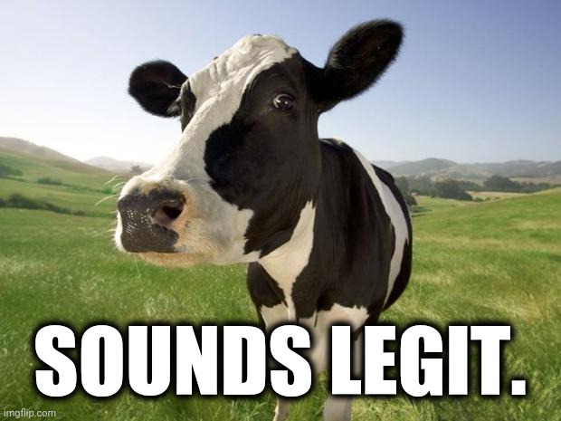 cow | SOUNDS LEGIT. | image tagged in cow | made w/ Imgflip meme maker