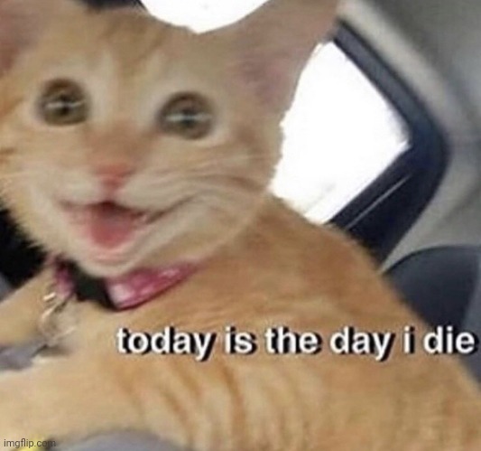 Todays the day | image tagged in todays the day | made w/ Imgflip meme maker