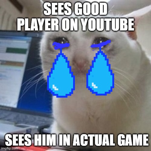 Crying cat | SEES GOOD PLAYER ON YOUTUBE; SEES HIM IN ACTUAL GAME | image tagged in crying cat | made w/ Imgflip meme maker