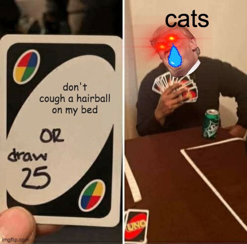dont do it... | cats; don't cough a hairball on my bed | image tagged in memes,uno draw 25 cards | made w/ Imgflip meme maker