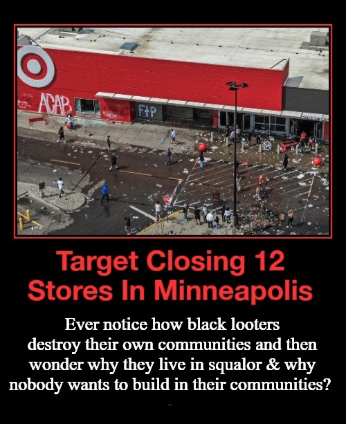 Target Closing 12 Stores in Minneapolis-St. Paul | Ever notice how black looters destroy their own communities and then wonder why they live in squalor & why nobody wants to build in their communities? | image tagged in looting,looters,ghetto,squalor,black racism,never go full retard | made w/ Imgflip meme maker