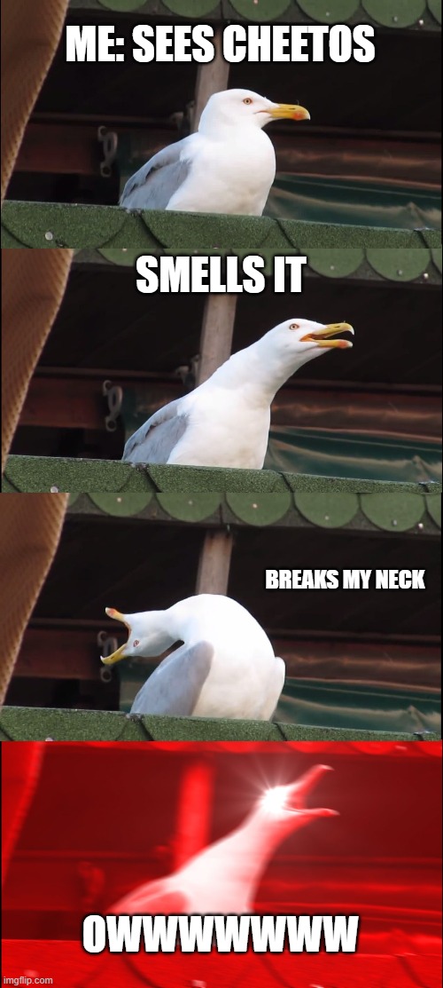 Inhaling Seagull | ME: SEES CHEETOS; SMELLS IT; BREAKS MY NECK; OWWWWWWW | image tagged in memes,inhaling seagull | made w/ Imgflip meme maker