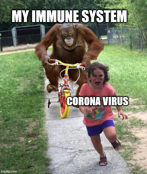 My immune system chasing corona | MY IMMUNE SYSTEM; CORONA VIRUS | image tagged in oof | made w/ Imgflip meme maker
