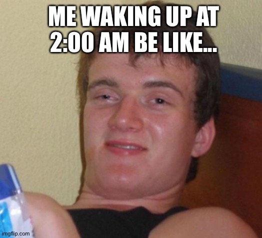 Me be like... | ME WAKING UP AT 2:00 AM BE LIKE... | image tagged in memes,10 guy | made w/ Imgflip meme maker