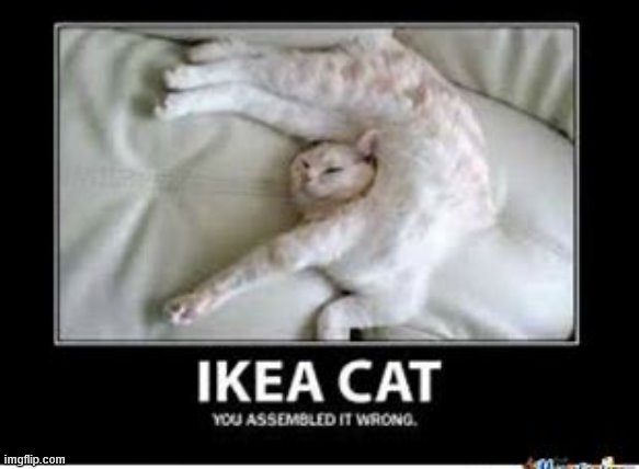 IKEA cat | image tagged in ikea | made w/ Imgflip meme maker