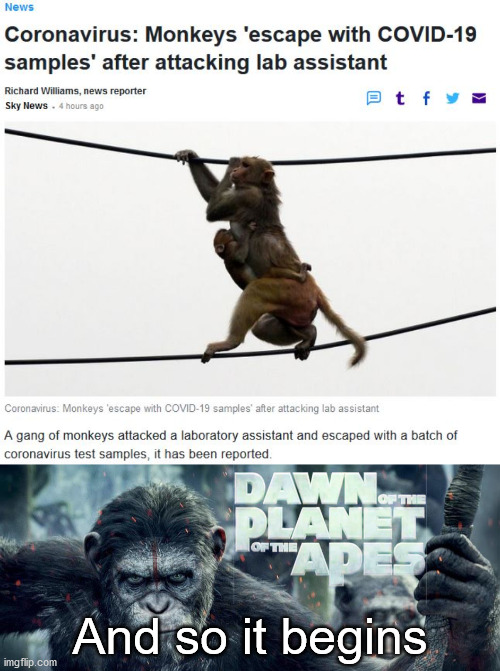 Damn you all to hell | And so it begins | image tagged in covid-19,planet of the apes | made w/ Imgflip meme maker