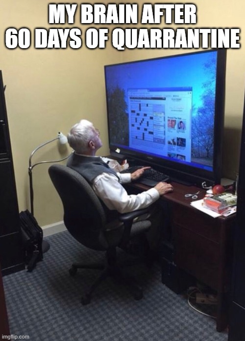 Grandpa knows how to buy a computer | MY BRAIN AFTER 60 DAYS OF QUARRANTINE | image tagged in old man,ok boomer,lol,bruh moment,quarantine,smh | made w/ Imgflip meme maker