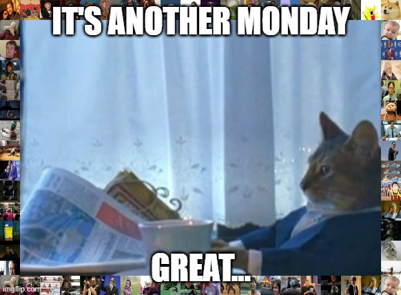 mondays | IT'S ANOTHER MONDAY; GREAT... | image tagged in memes,i should buy a boat cat | made w/ Imgflip meme maker