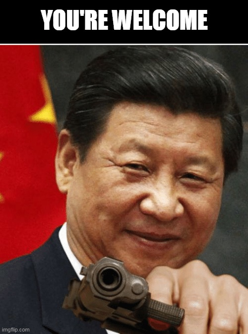 Xi Jinping | YOU'RE WELCOME | image tagged in xi jinping | made w/ Imgflip meme maker