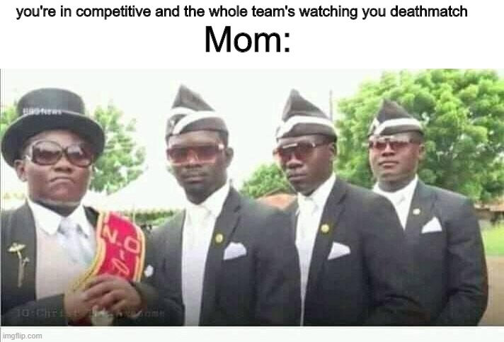 Ohhhhh nonoooooooo | Mom:; you're in competitive and the whole team's watching you deathmatch | image tagged in coffin dance | made w/ Imgflip meme maker