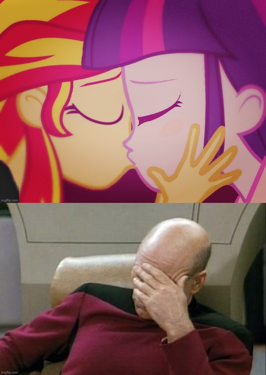 Fanfarts... | image tagged in memes,captain picard facepalm,funny,my little pony,twilight sparkle,sunset shimmer | made w/ Imgflip meme maker